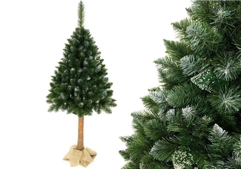 Sapin de Noël 180 cm effet givré - Tronc naturel - Jusqu'à -28%