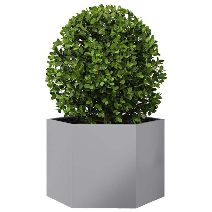 Vidaxl Bac à fleurs hexagonal acier galvanisé 69x60x45cm - Jusqu'à 46% de réduction