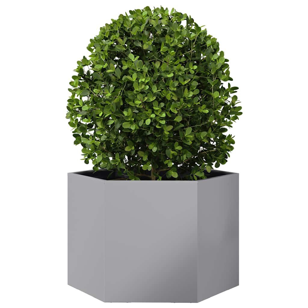 Vidaxl Bac à fleurs hexagonal acier galvanisé 69x60x45cm - Jusqu'à 46% de réduction