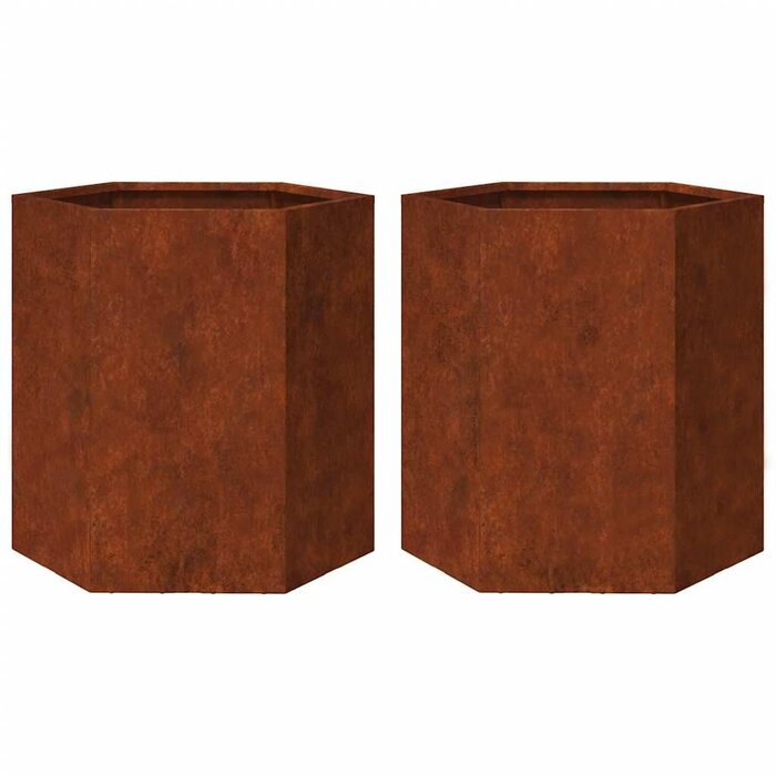 Vidaxl Lot de 2 jardinières hexagonales en acier corten - Jusqu'à -34%