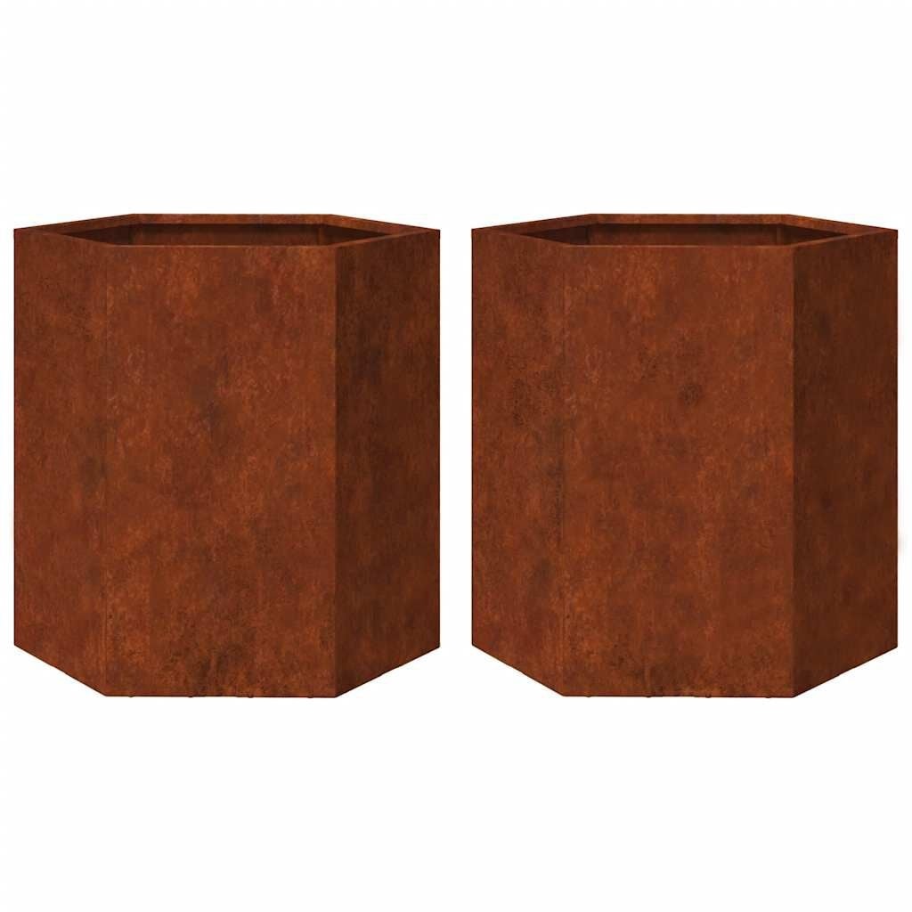 Vidaxl Lot de 2 jardinières hexagonales en acier corten - Jusqu'à -34%