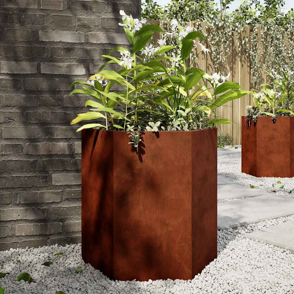 Vidaxl Lot de 2 jardinières hexagonales en acier corten - Jusqu'à -34%