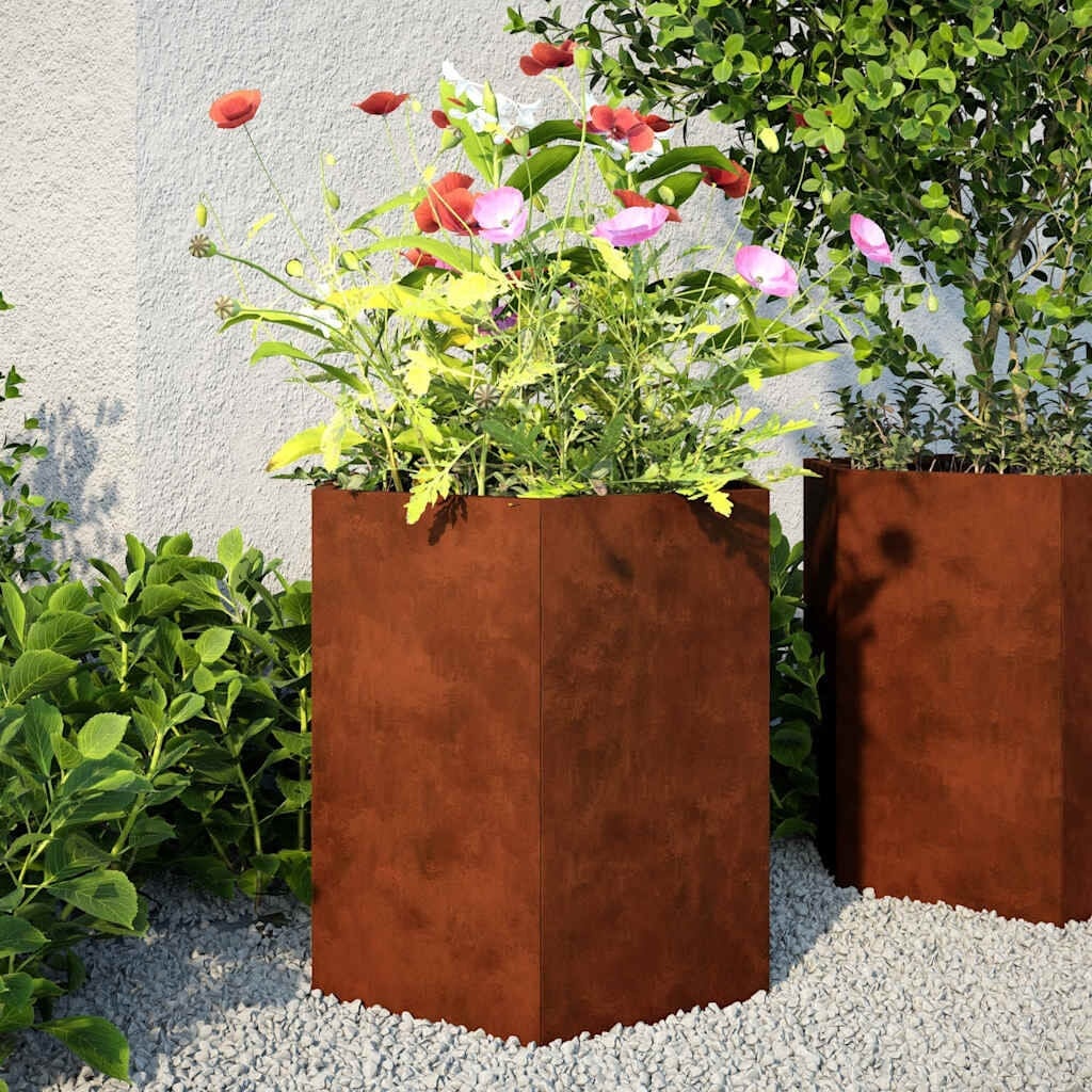 Vidaxl Lot de 2 jardinières hexagonales en acier corten - Jusqu'à -34%