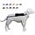 Manteau d'hiver pour chien 4 pattes - Blanc - Jusqu'à -79%