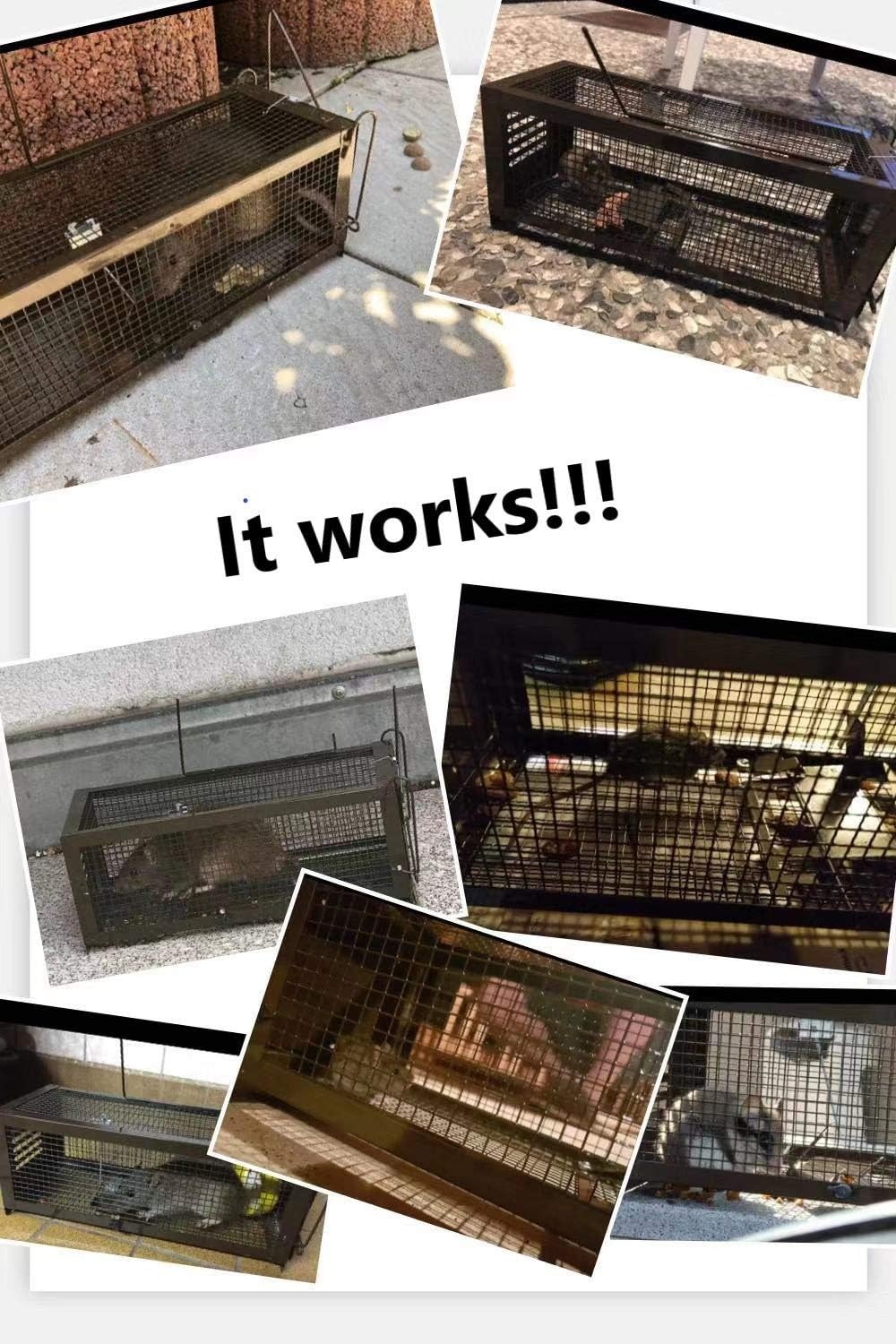 Lot de 2 cages de capture vivante XXL - Jusqu'à -33% de remise