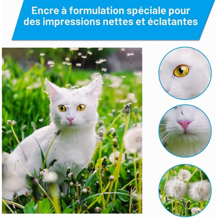 Lot de 4 bouteilles d'encre haute capacité - Jusqu'à 51% de réduction