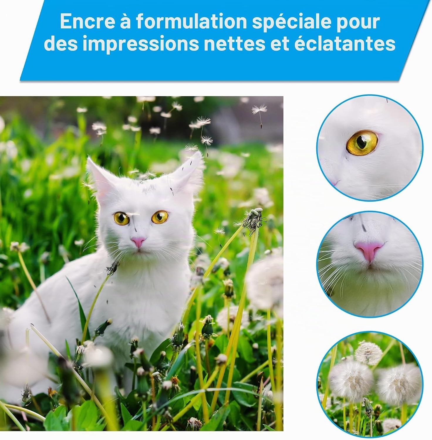 Lot de 4 bouteilles d'encre haute capacité - Jusqu'à 51% de réduction