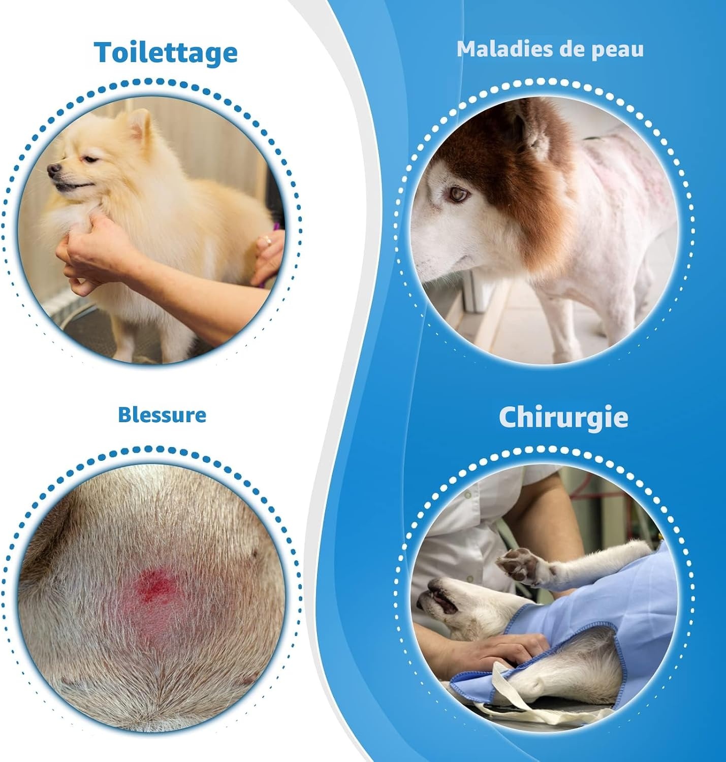 Collerette souple pour chien - Anti-léchage - Bleu T8 - Jusqu'à -32%