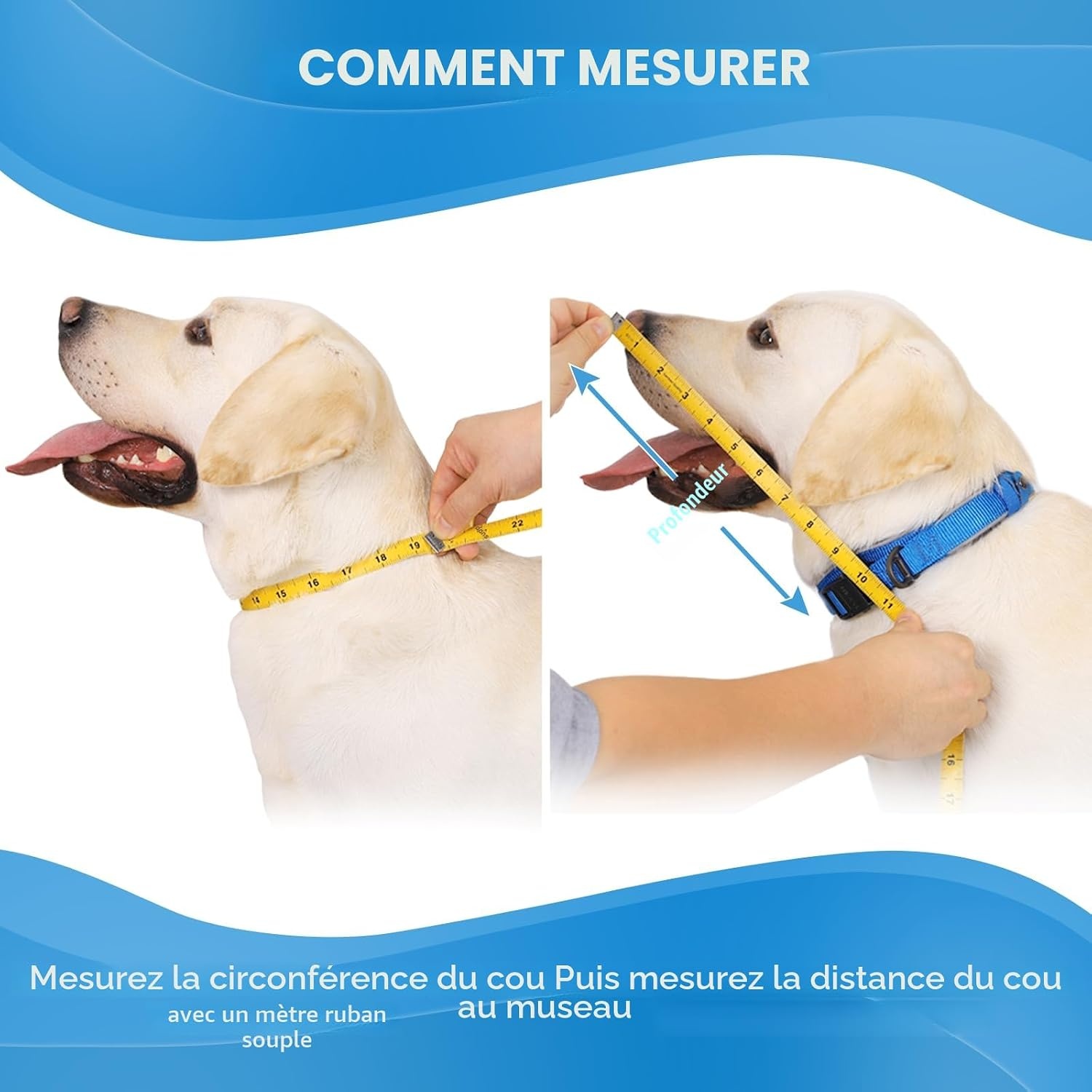 Collerette souple pour chien - Anti-léchage - Bleu T8 - Jusqu'à -32%