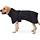 Pull-over extensible pour chien - Bleu foncé - Jusqu'à 33% de réduction