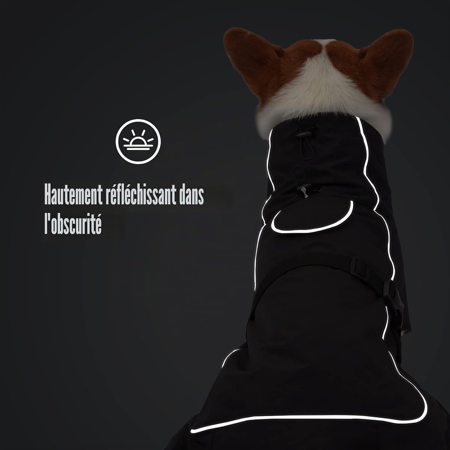 Pull-over extensible pour chien - Bleu foncé - Jusqu'à 33% de réduction