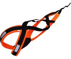 Harnais de traction X-Back pour chien - Noir/Orange - Jusqu'à -36%