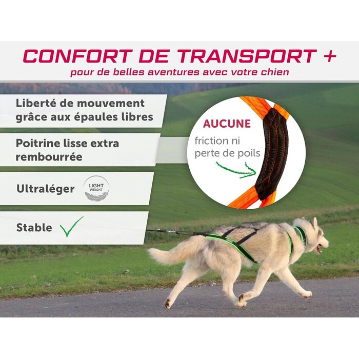 Harnais de traction X-Back pour chien - Noir/Orange - Jusqu'à -36%
