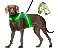 Harnais LED pour chien - Taille M - Rechargeable - Jusqu'à -46% de réduction