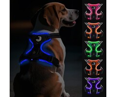Harnais lumineux anti-traction pour chien (Taille M) - Jusqu'à -25,4%