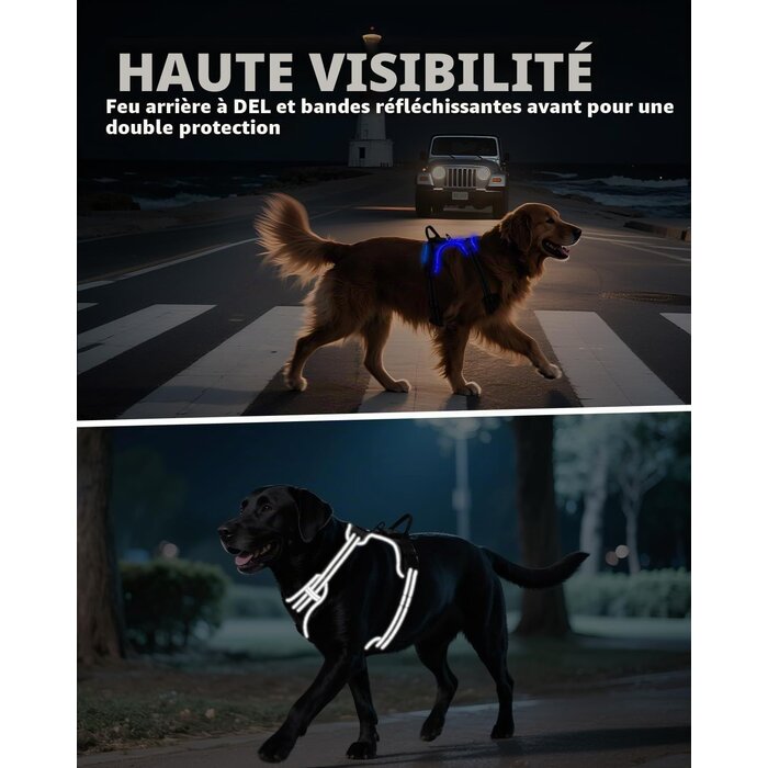 Harnais lumineux anti-traction pour chien (Taille M) - Jusqu'à -25,4%