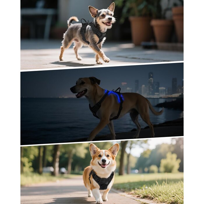 Harnais lumineux anti-traction pour chien (Taille M) - Jusqu'à -25,4%