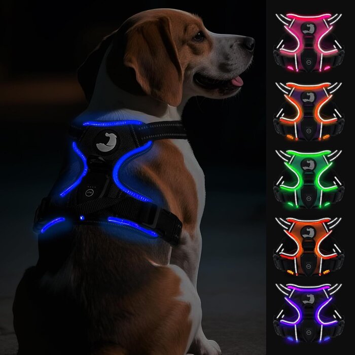 Harnais lumineux anti-traction pour chien - Jusqu'à 25,4% de remise