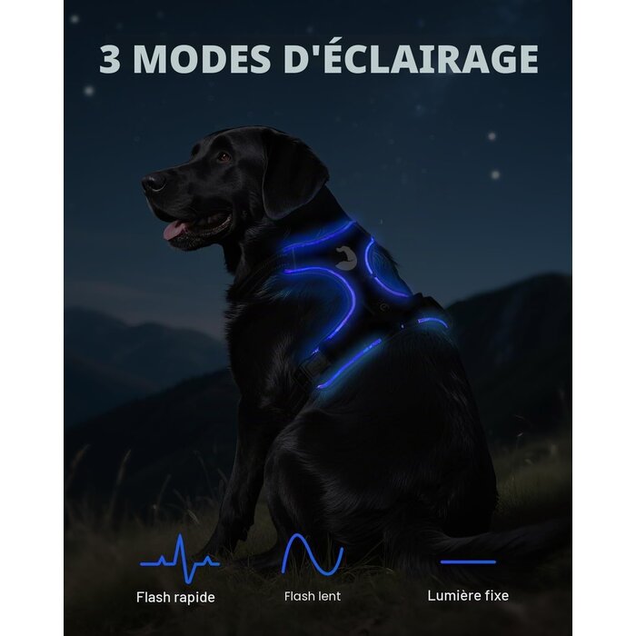 Harnais lumineux anti-traction pour chien - Jusqu'à 25,4% de remise