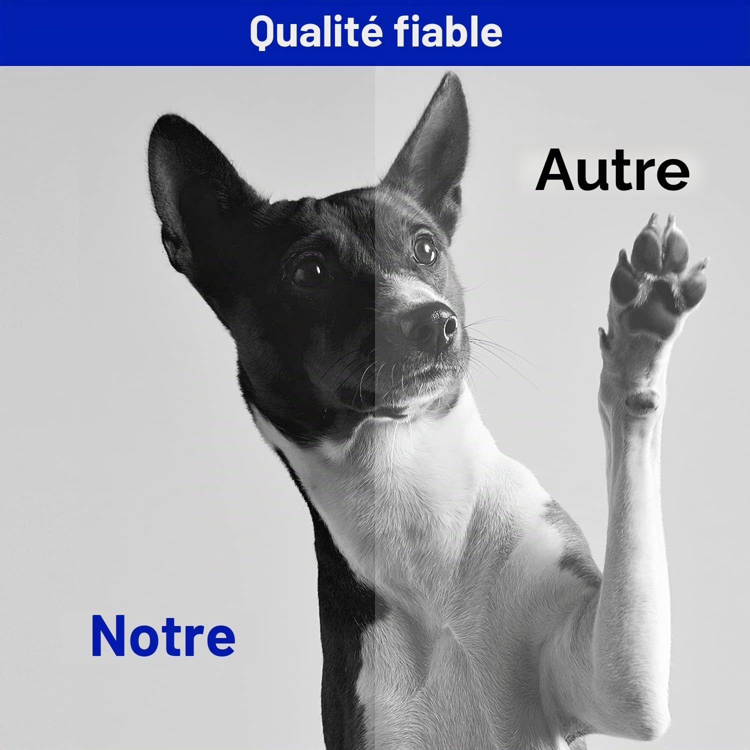 Lot de 2 toners haute capacité compatibles HP - Jusqu'à 65% de réduction