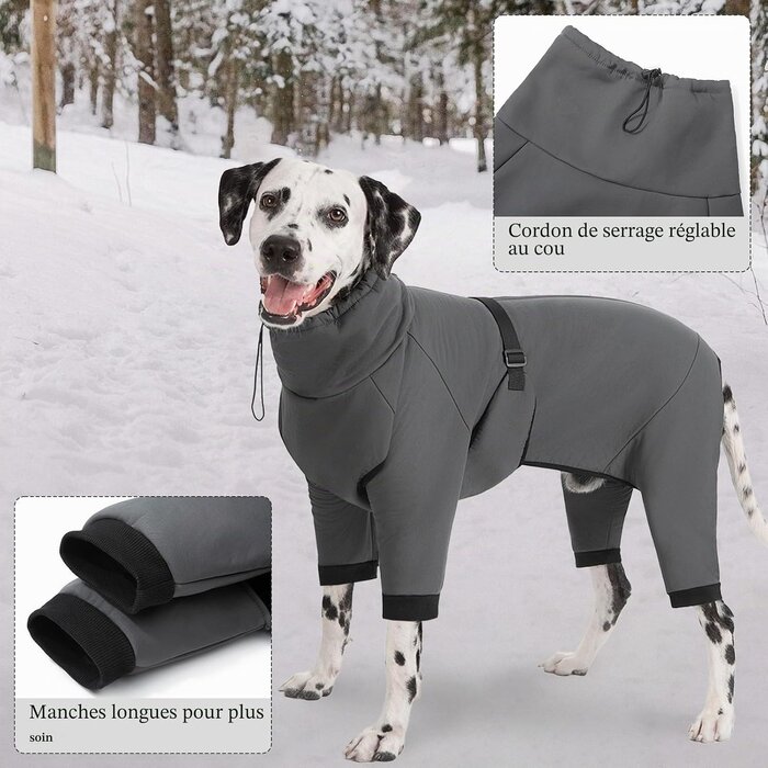 Manteau imperméable pour chien - Jusqu'à 59% de réduction