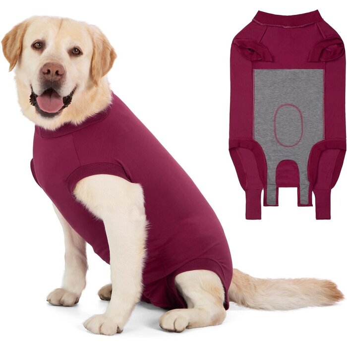Combinaison de protection post-chirurgie pour chien - Gris - Jusqu'à -55%