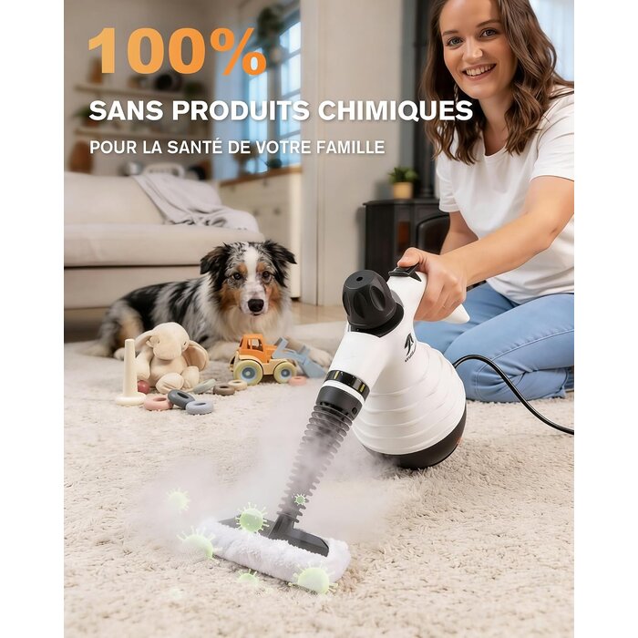Nettoyeur Vapeur Portable 1050W - 10 Accessoires - Jusqu'à -63%