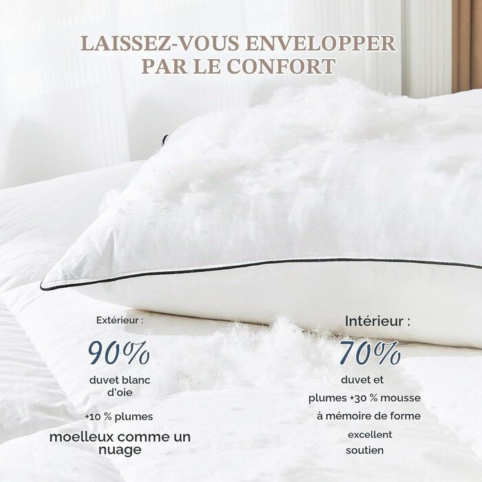 Lot de 2 Oreillers 3 Chambres 50x75cm - Jusqu'à -64% sur votre confort