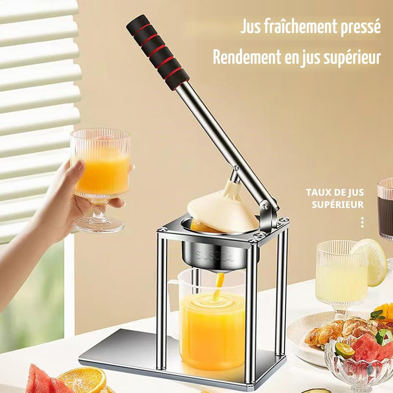 Presse-agrumes manuel en inox - Jusqu'à 43% de réduction
