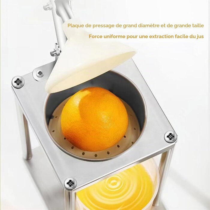 Presse-agrumes manuel en inox - Jusqu'à 43% de réduction