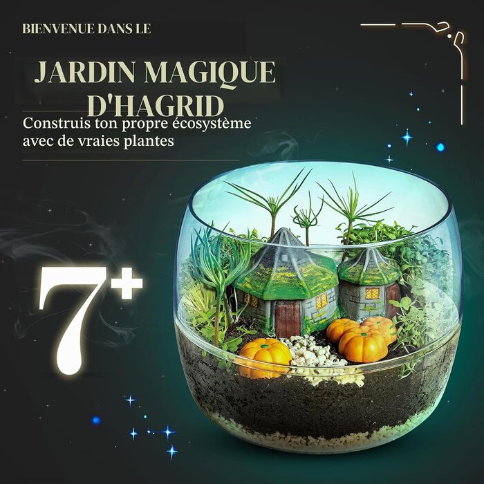 Kit Scientifique Terrarium Magique : Jusqu'à -37% sur vos activités STEM