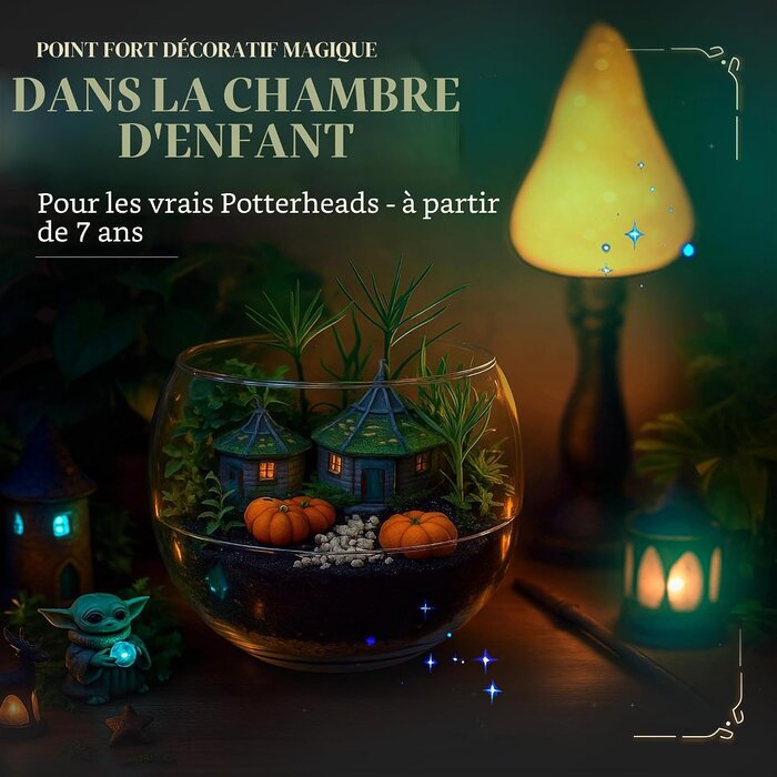 Kit Scientifique Terrarium Magique : Jusqu'à -37% sur vos activités STEM