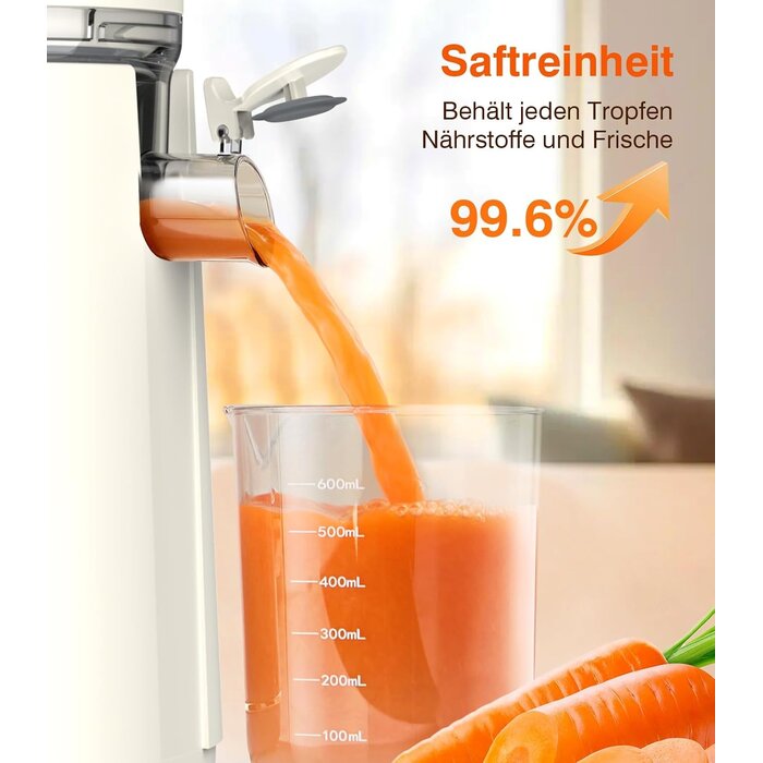 Amazon Extracteur de jus à froid - Goulotte XXL 120mm - Jusqu'à -36%
