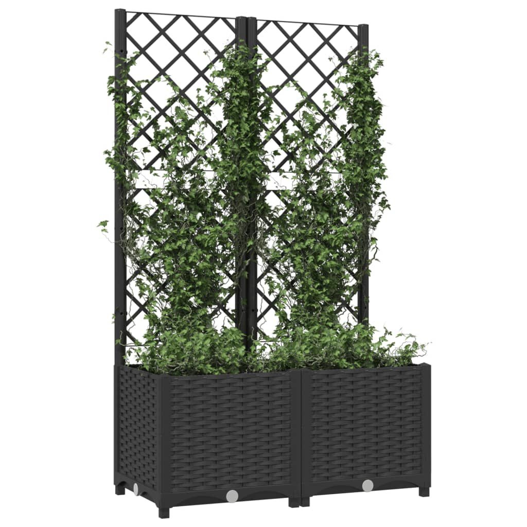 Jardinière avec treillis 80x40x136 cm - Noir - Jusqu'à -40%