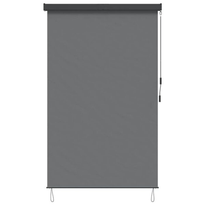 Store enrouleur extérieur 60x250 cm Gris - Jusqu'à -34% sur le retour