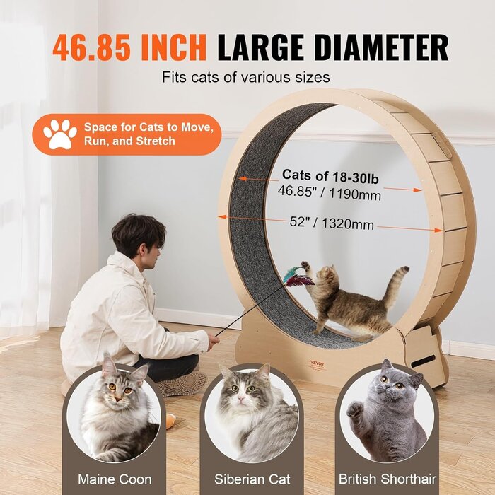 Roue d'exercice pour chat, bois massif 132 cm - Jusqu'à 35 % de remise