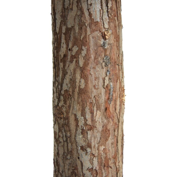 Sapin de Noël 180 cm effet enneigé - Tronc en bois - Jusqu'à -40%