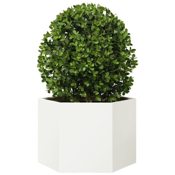 Jardinière hexagonale en acier 69x60x45cm - Blanc - Jusqu'à -34%