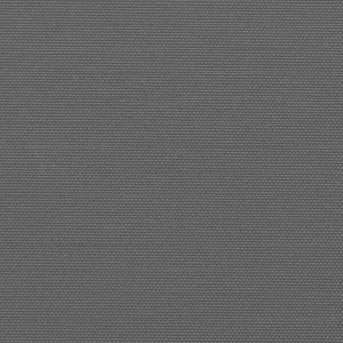 Vidaxl Pare-soleil latéral rétractable 117x300 cm Anthracite - Jusqu'à -34%