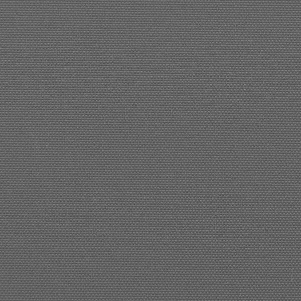 Vidaxl Pare-soleil latéral rétractable 117x300 cm Anthracite - Jusqu'à -34%