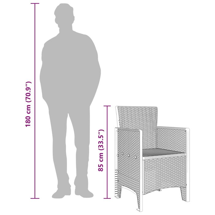 Vidaxl Lot de 2 chaises de jardin anthracite - Jusqu'à 34% de remise