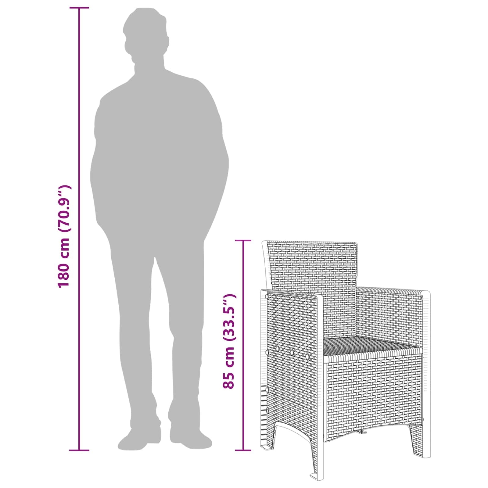 Vidaxl Lot de 2 chaises de jardin anthracite - Jusqu'à 34% de remise