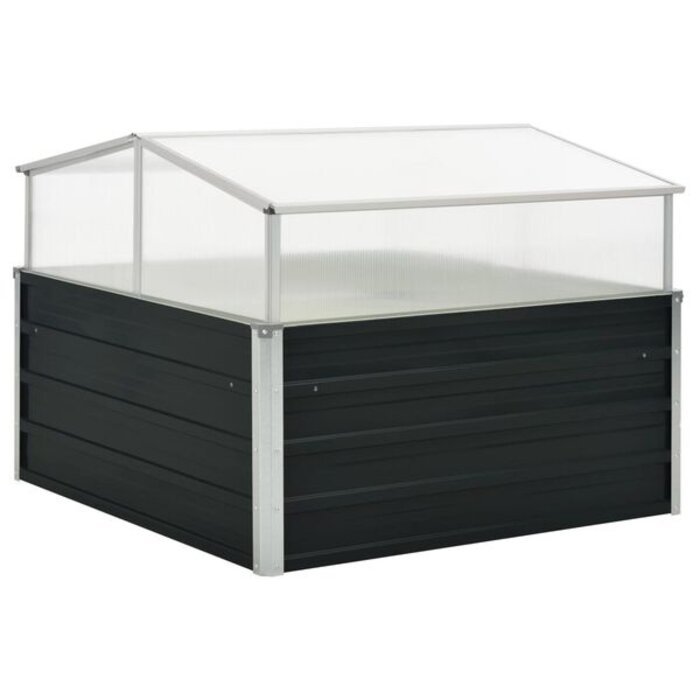 Vidaxl Serre de jardin anthracite 100x100 cm - Jusqu'à 34% de remise