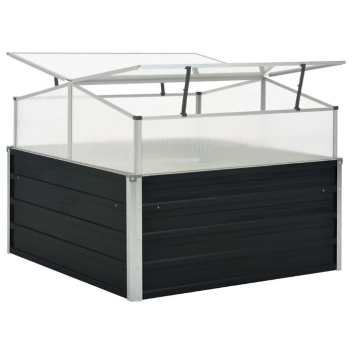 Vidaxl Serre de jardin anthracite 100x100 cm - Jusqu'à 34% de remise