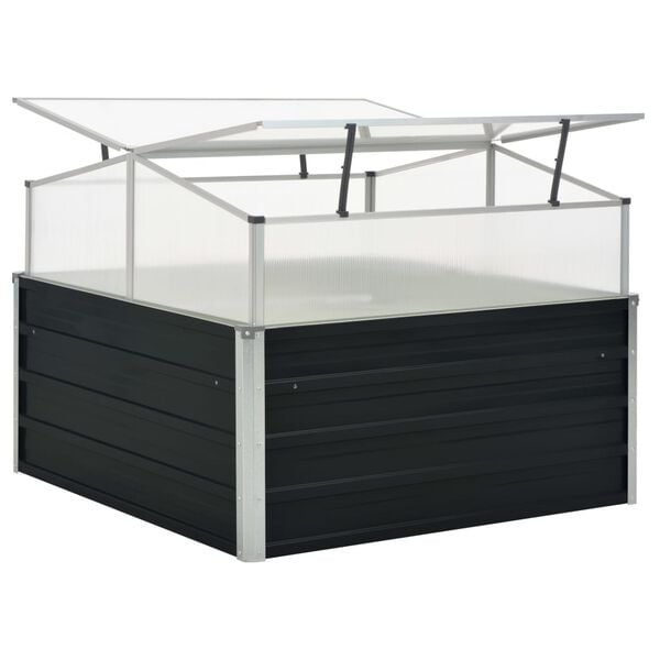 Vidaxl Serre de jardin anthracite 100x100 cm - Jusqu'à 34% de remise
