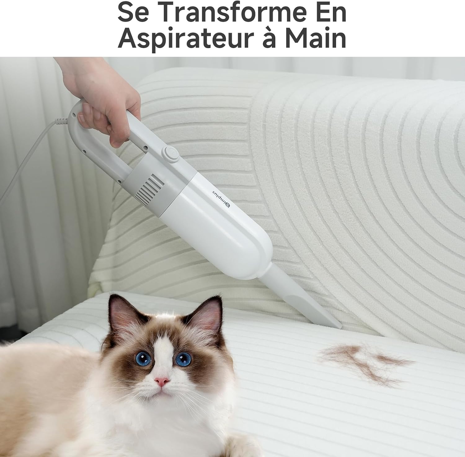 Aspirateur balai filaire haute performance - Jusqu'à -31% sur votre achat