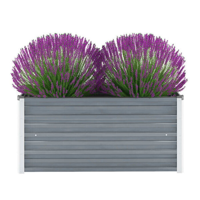 Vidaxl Jardinière surélevée en acier gris 100x40cm - Jusqu'à -29%