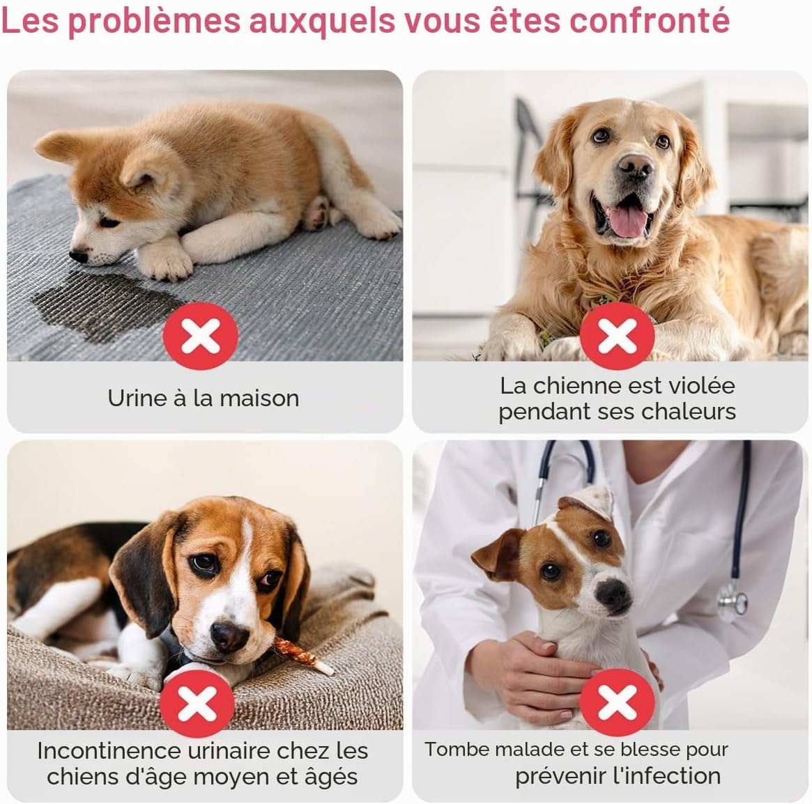 Couches pour chiennes Taille M - 20 pièces - Jusqu'à -26%