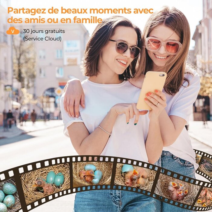 Nichoir connecté avec caméra 4MP - Jusqu'à 34 % de remise