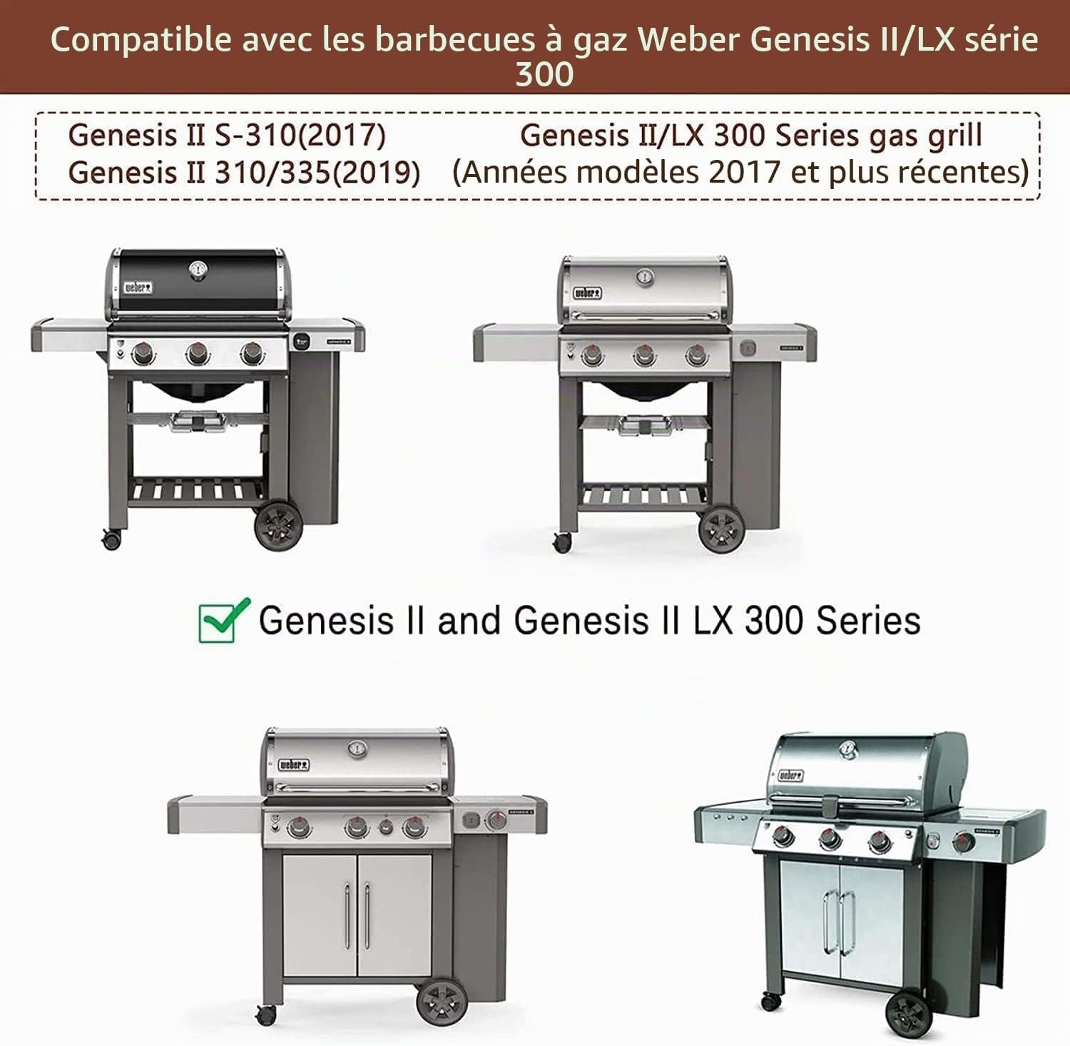 Barres aromatisatrices Inox pour Barbecue - Lot de 5 - Jusqu'à -33%